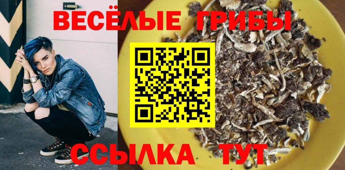 Галлюциногенные грибы Cubensis  Вход с VPN  Псилоцибиновые грибы Cubensis  Камышин 