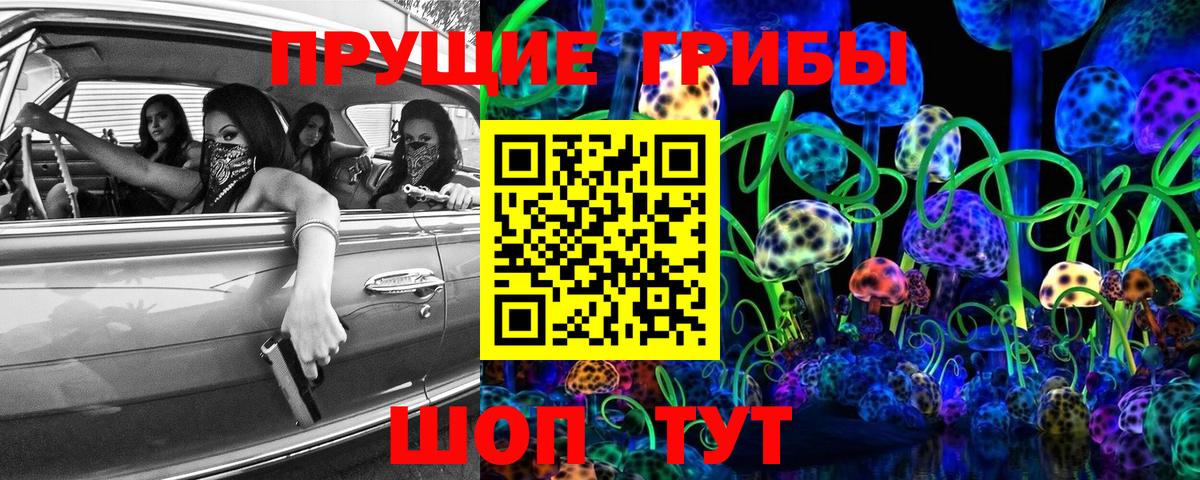 Псилоцибиновые грибы мицелий Камышин